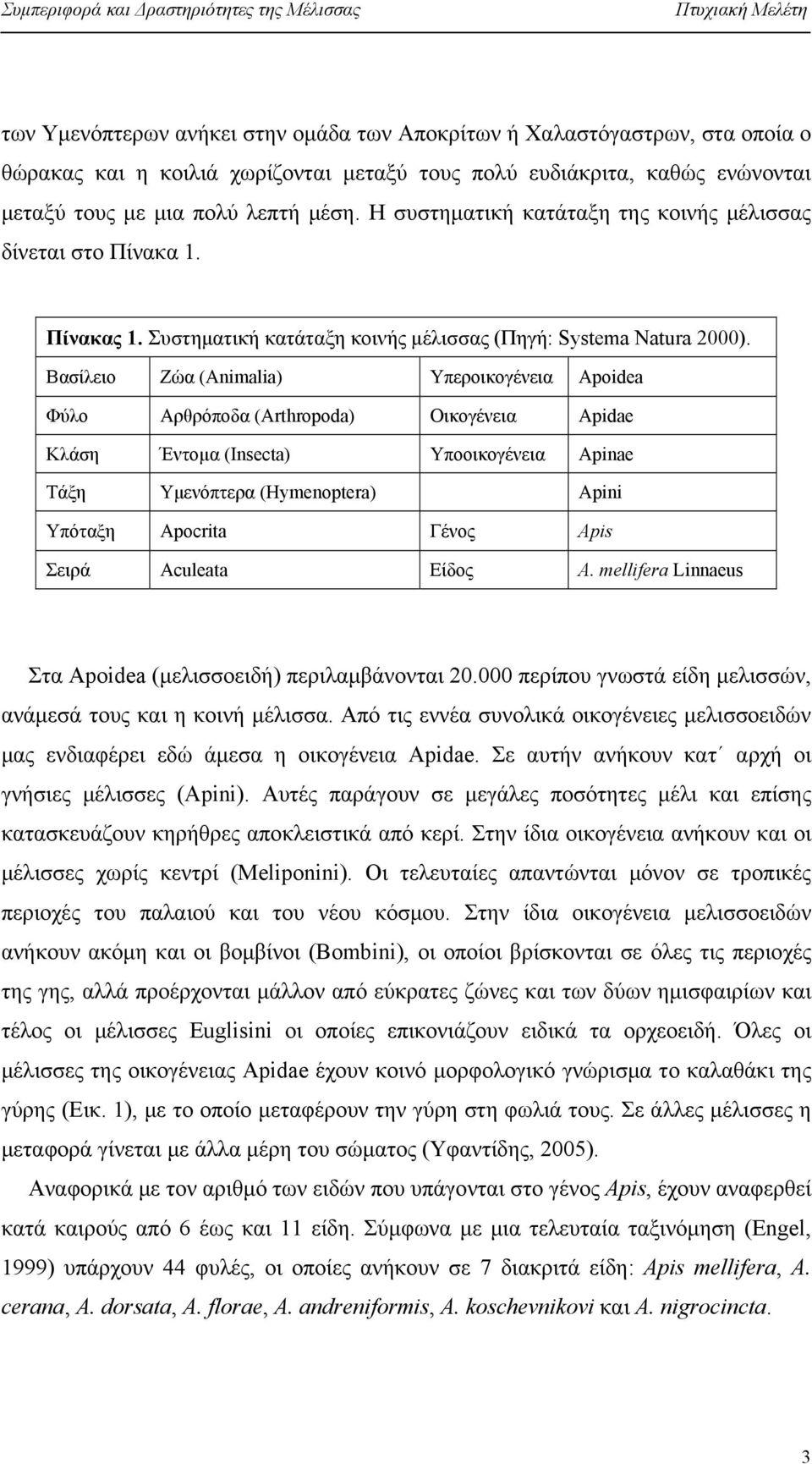 Βασίλειο Ζώα (Animalia) Υπεροικογένεια Apoidea Φύλο Αρθρόποδα (Arthropoda) Οικογένεια Apidae Κλάση Έντομα (Insecta) Υποοικογένεια Apinae Τάξη Υμενόπτερα (Hymenoptera) Apini Υπόταξη Apocrita Γένος