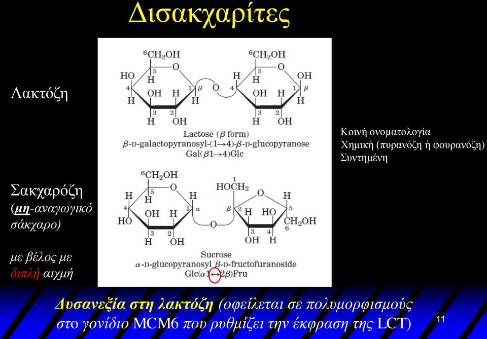 βέλος με διπλή αιχμή Δυσανεξία στη λακτόζη (οφείλεται σε