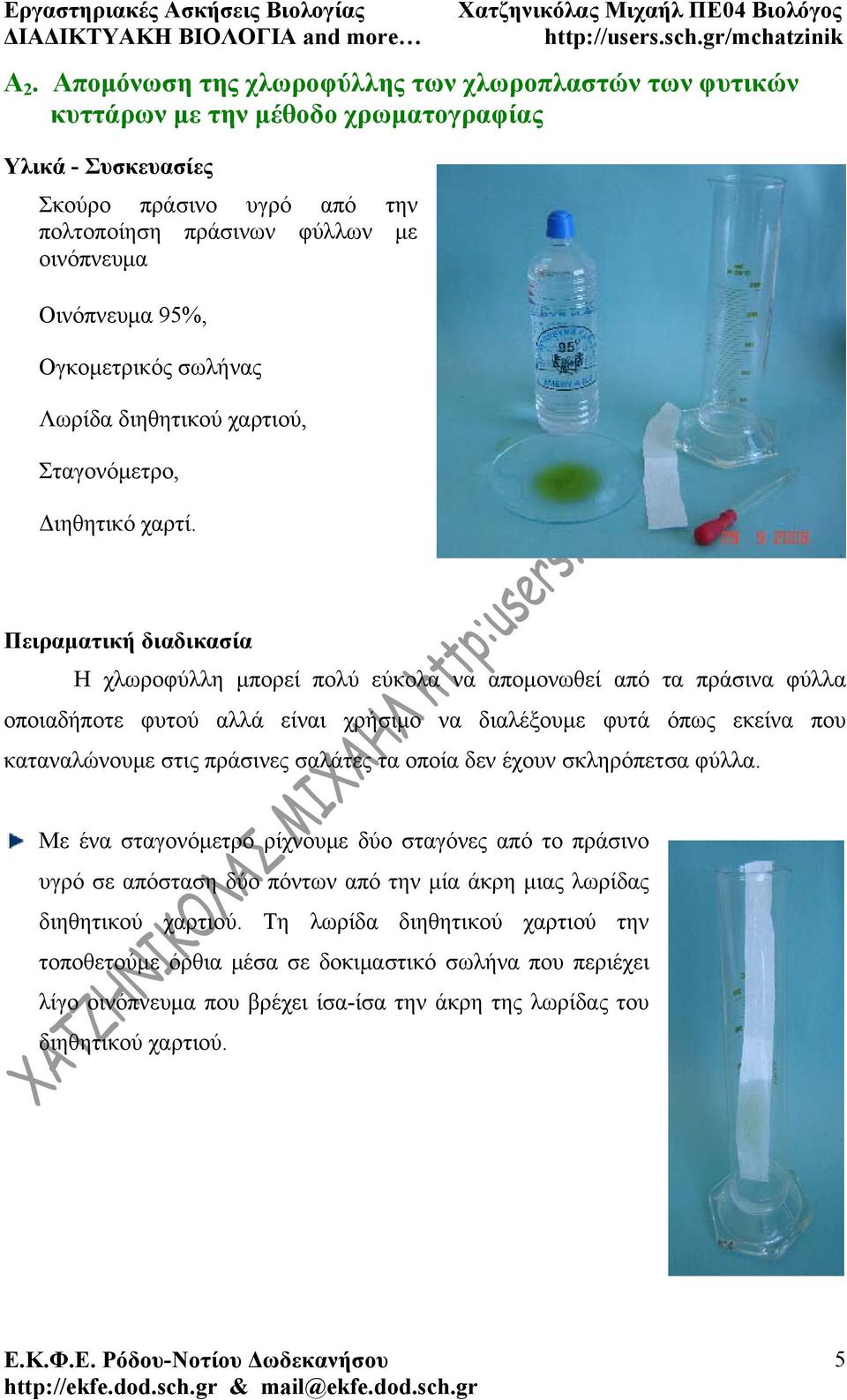 Πειραματική διαδικασία Η χλωροφύλλη μπορεί πολύ εύκολα να απομονωθεί από τα πράσινα φύλλα οποιαδήποτε φυτού αλλά είναι χρήσιμο να διαλέξουμε φυτά όπως εκείνα που καταναλώνουμε στις πράσινες σαλάτες