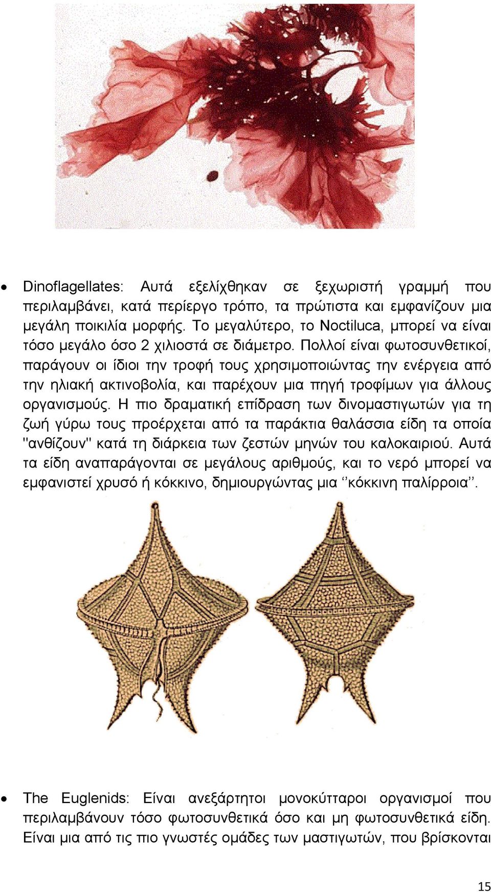 Πολλοί είναι φωτοσυνθετικοί, παράγουν οι ίδιοι την τροφή τους χρησιμοποιώντας την ενέργεια από την ηλιακή ακτινοβολία, και παρέχουν μια πηγή τροφίμων για άλλους οργανισμούς.