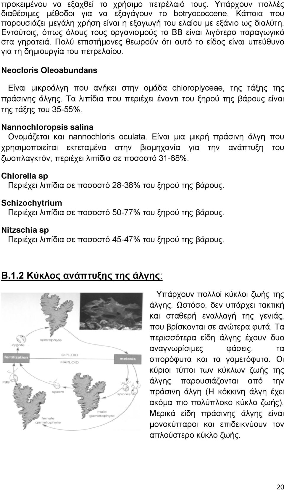 Πολύ επιστήμονες θεωρούν ότι αυτό το είδος είναι υπεύθυνο για τη δημιουργία του πετρελαίου. Neocloris Oleoabundans Είναι μικροάλγη που ανήκει στην ομάδα chloroplyceae, της τάξης της πράσινης άλγης.
