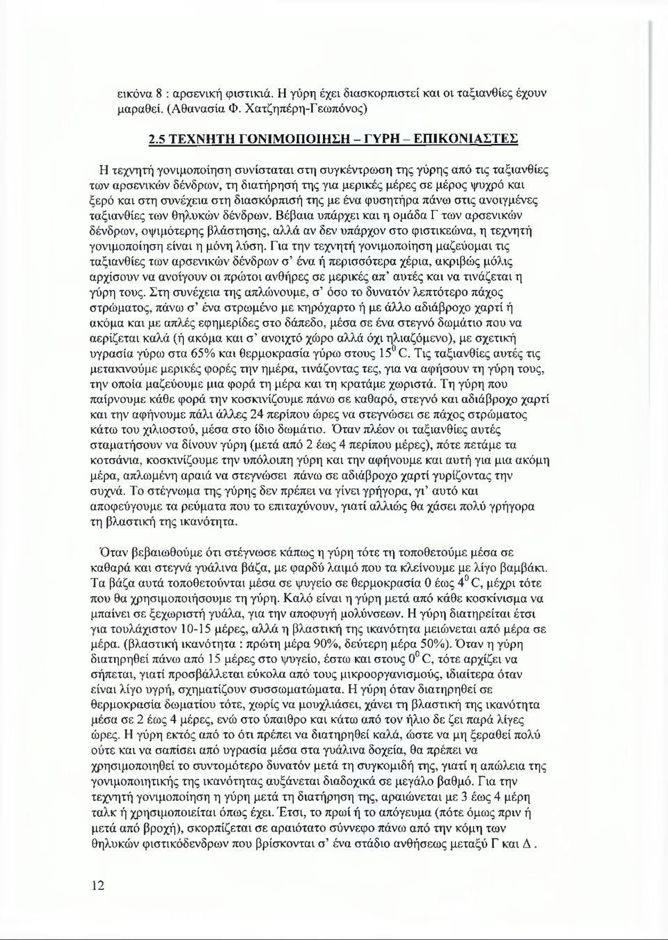 και ξερό και στη συνέχεια στη διασκόρπισή της με ένα φυσητήρα πάνω στις ανοιγμένες ταξιανθίες των θηλυκών δένδρων.