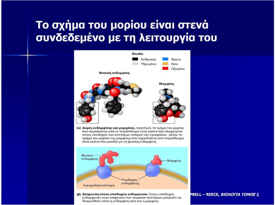 µε τη λειτουργία του