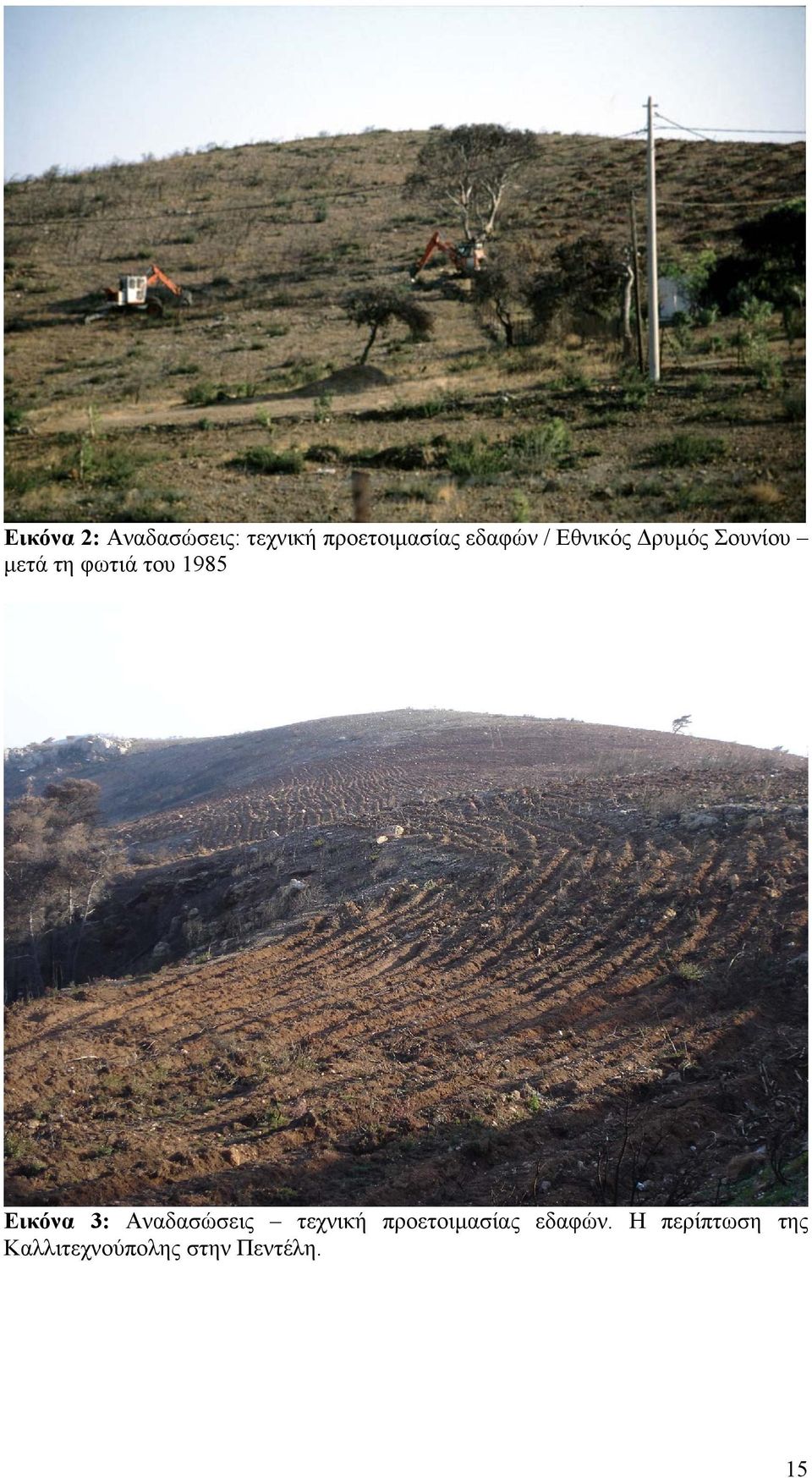 1985 Εικόνα 3: Αναδασώσεις τεχνική προετοιµασίας