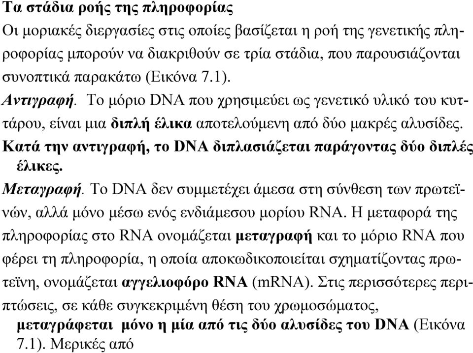 Κατά την αντιγραφή, το DNA διπλασιάζεται παράγοντας δύο διπλές έλικες. Μεταγραφή. Το DNA δεν συμμετέχει άμεσα στη σύνθεση των πρωτεϊνών, αλλά μόνο μέσω ενός ενδιάμεσου μορίου RNA.
