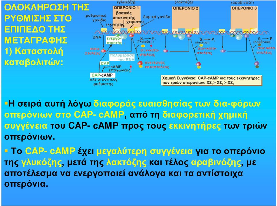 τους εκκινητήρες των τριών οπερόνιων.