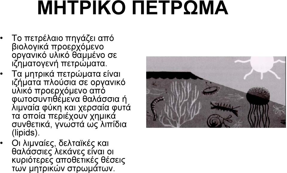 Τα μητρικά πετρώματα είναι ιζήματα πλούσια σε οργανικό υλικό προερχόμενο από φωτοσυντιθέμενα θαλάσσια ή
