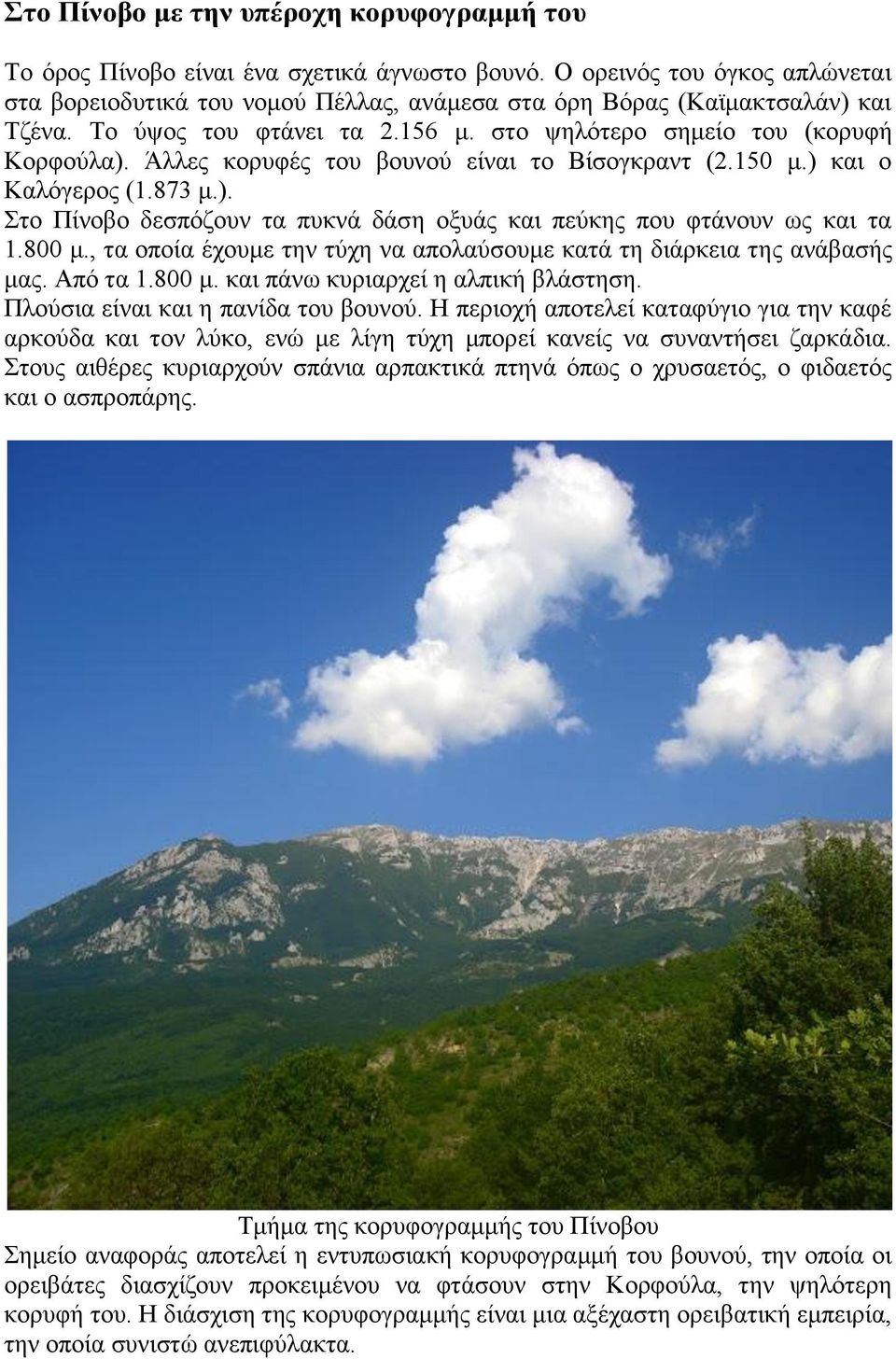 Άλλες κορυφές του βουνού είναι το Βίσογκραντ (2.150 μ.) και ο Καλόγερος (1.873 μ.). Στο Πίνοβο δεσπόζουν τα πυκνά δάση οξυάς και πεύκης που φτάνουν ως και τα 1.800 μ.