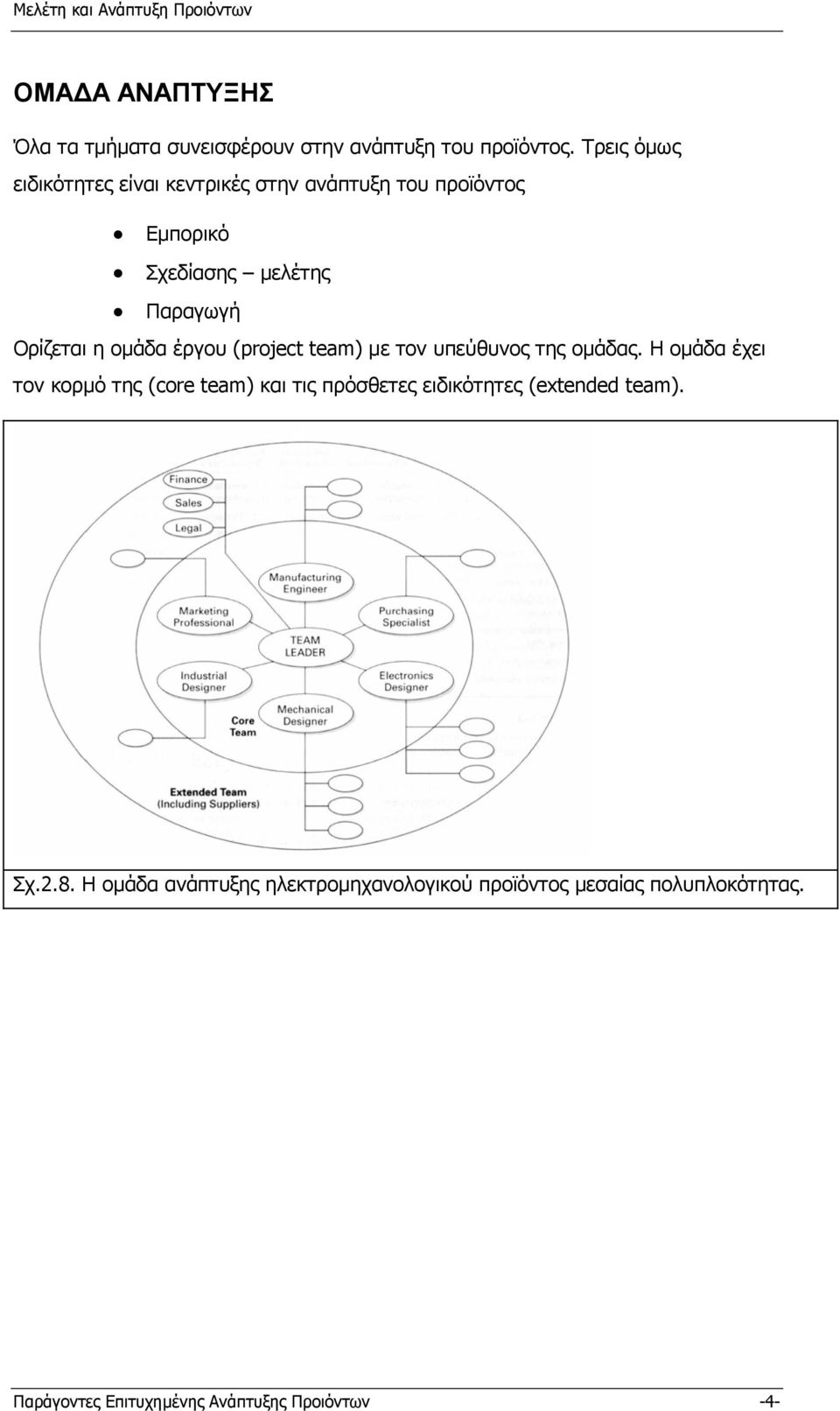 οµάδα έργου (project team) µε τον υπεύθυνος της οµάδας.