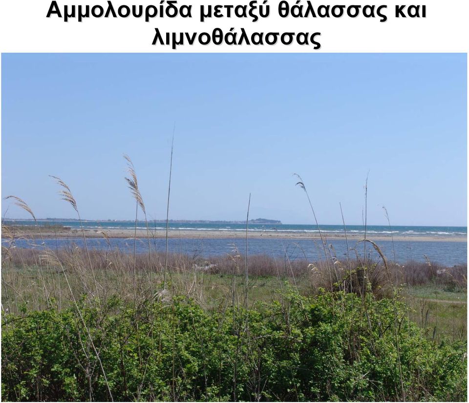 θάλασσας