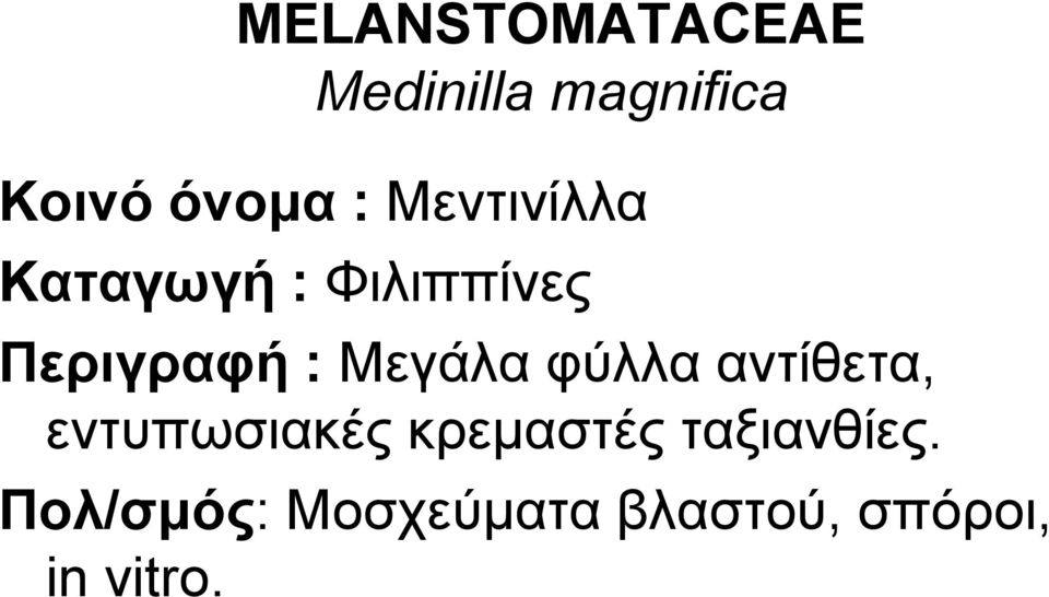 Μεγάια θύιια αληίζεηα, εληππσζηαθέο θξεκαζηέο