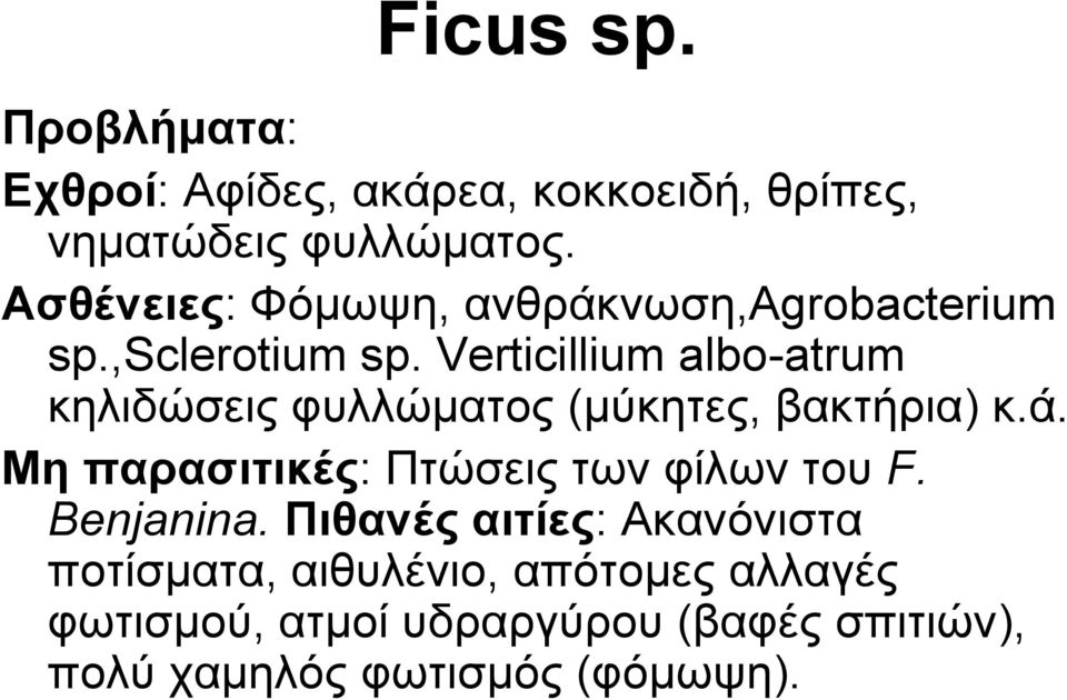 Verticillium albo-atrum θειηδώζεηο θπιιώκαηνο (κύθεηεο, βαθηήξηα) θ.ά.