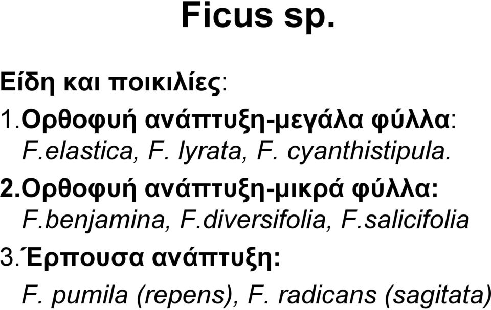 cyanthistipula. 2.Οξζνθπή αλάπηπμε-κηθξά θύιια: F.