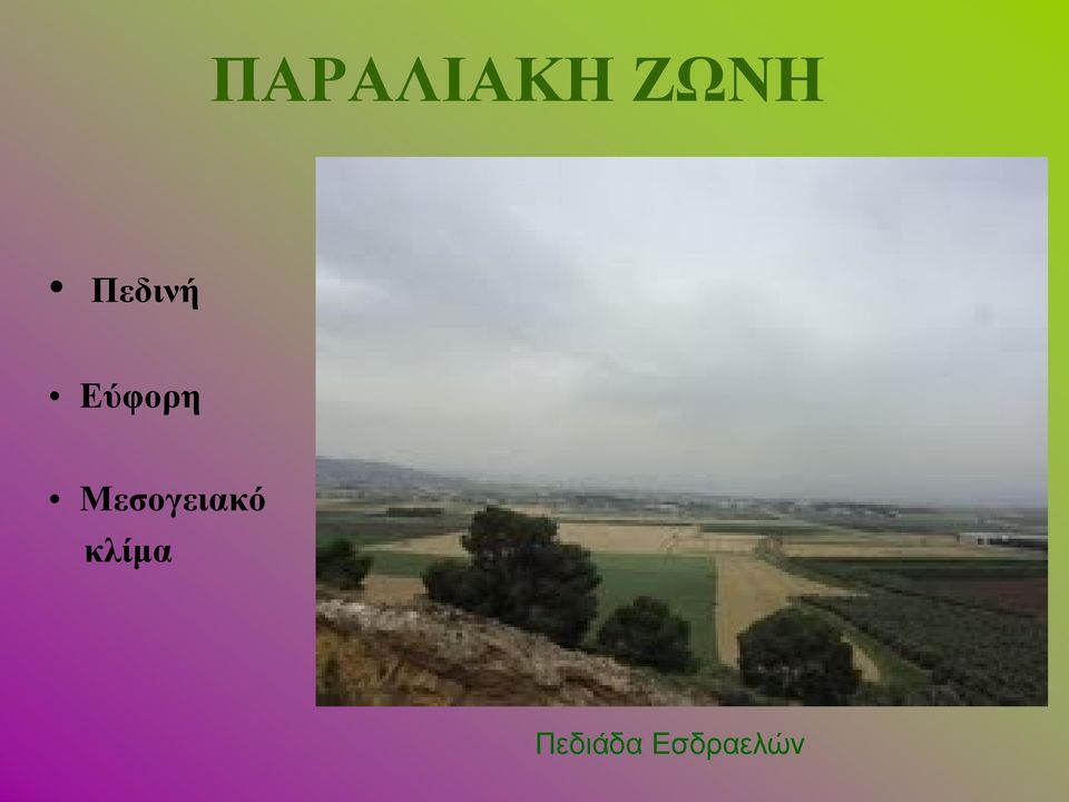 Μεσογειακό