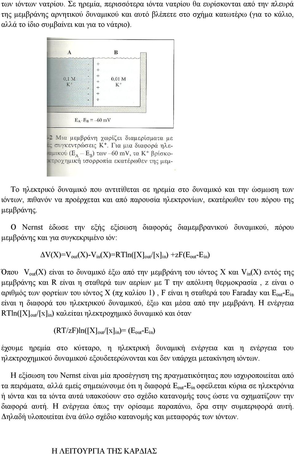 Το ηλεκτρικό δυναμικό που αντιτίθεται σε ηρεμία στο δυναμικό και την ώσμωση των ιόντων, πιθανόν να προέρχεται και από παρουσία ηλεκτρονίων, εκατέρωθεν του πόρου της μεμβράνης.