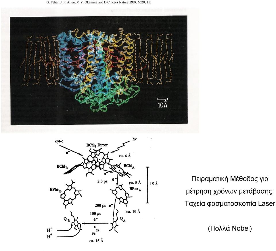 Rees Nature 1989, 6620, 111 Πειραματική