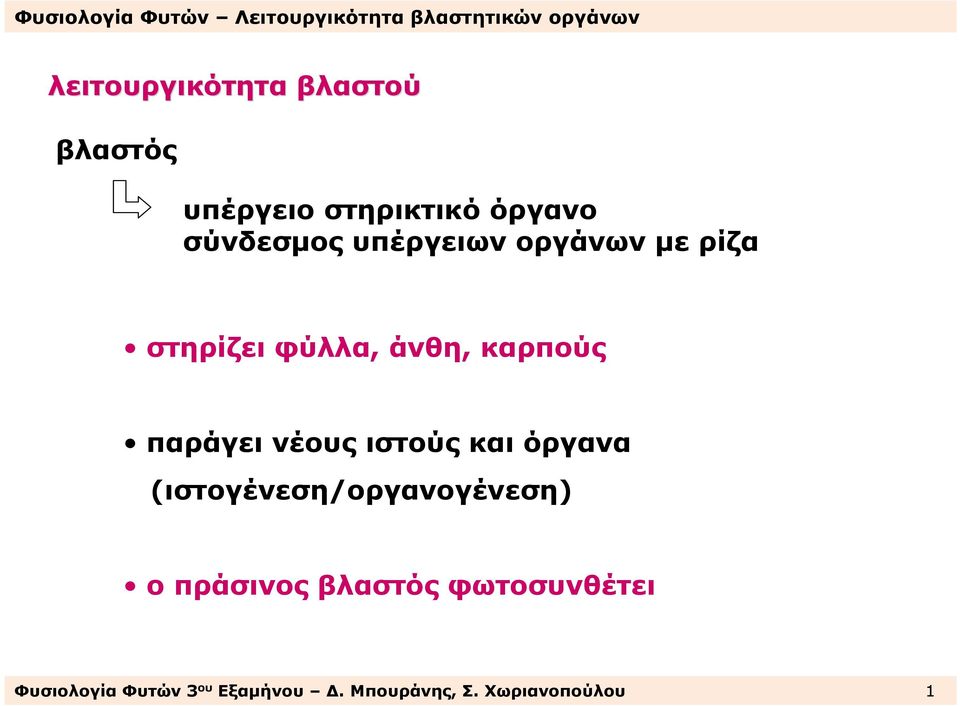 νέους ιστούς και όργανα (ιστογένεση/οργανογένεση) ο πράσινος βλαστός