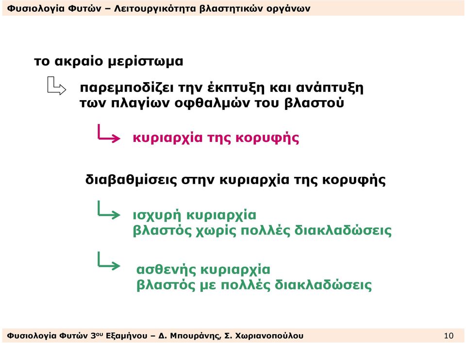 ισχυρή κυριαρχία βλαστός χωρίς πολλές διακλαδώσεις ασθενής κυριαρχία βλαστός