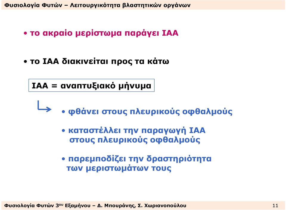 παραγωγή ΙΑΑ στους πλευρικούς οφθαλµούς παρεµποδίζει την δραστηριότητα