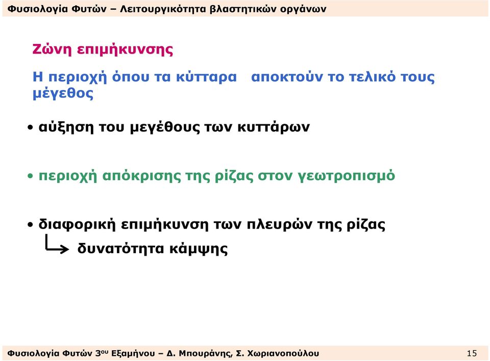 στον γεωτροπισµό διαφορική επιµήκυνση των πλευρών της ρίζας