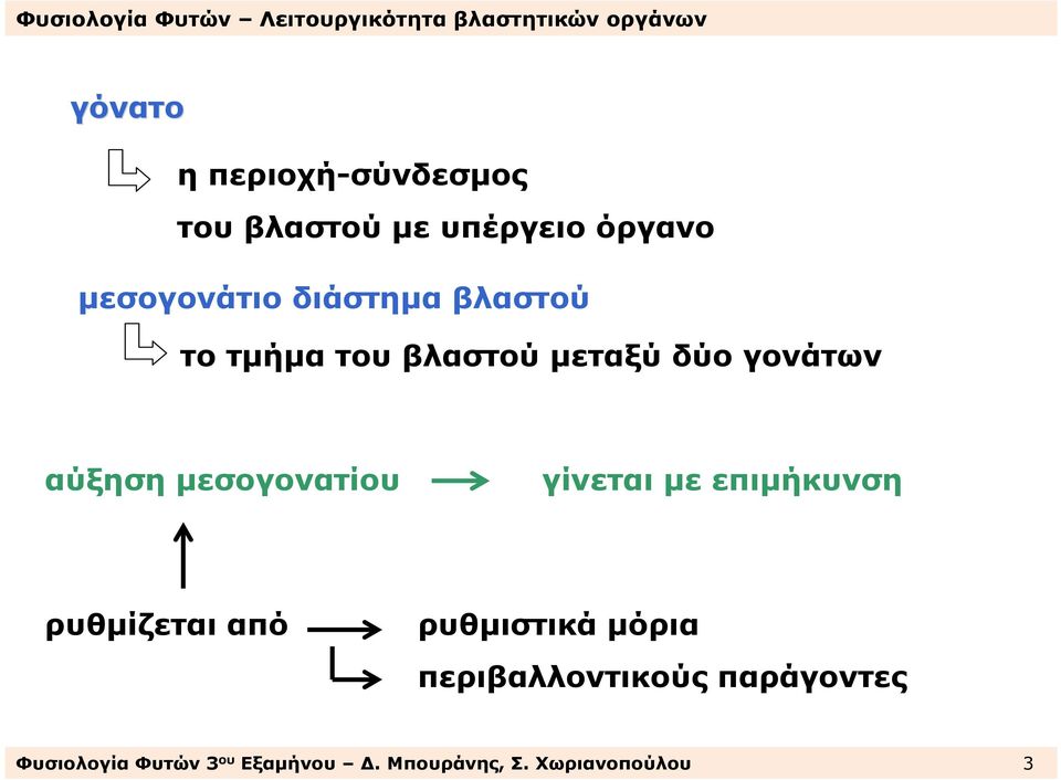 µεσογονατίου γίνεται µε επιµήκυνση ρυθµίζεται από ρυθµιστικά µόρια