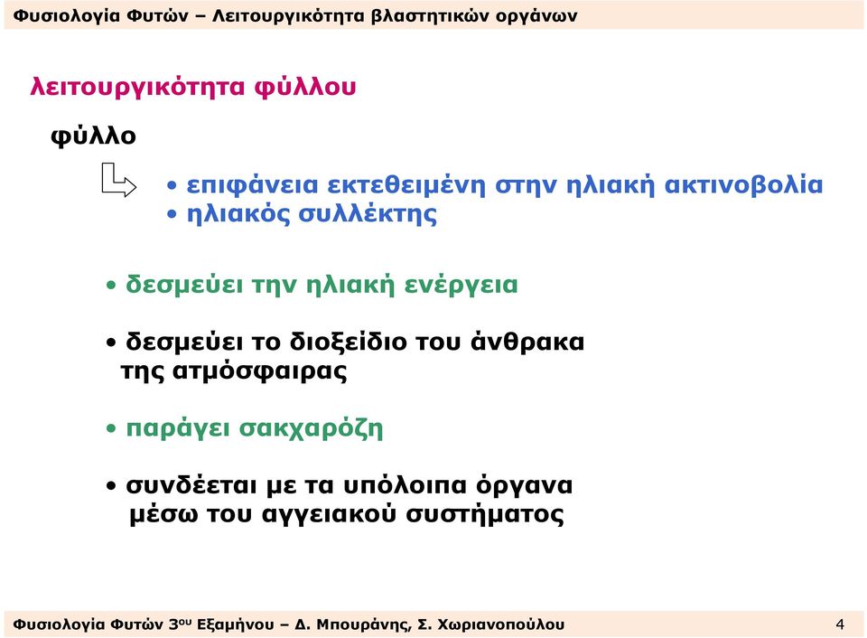 άνθρακα της ατµόσφαιρας παράγει σακχαρόζη συνδέεται µε τα υπόλοιπα όργανα