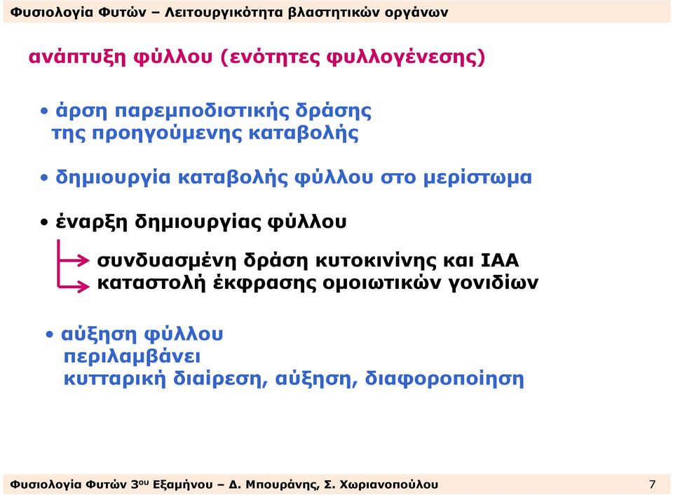 δράση κυτοκινίνης και ΙΑΑ καταστολή έκφρασης οµοιωτικών γονιδίων αύξηση φύλλου περιλαµβάνει