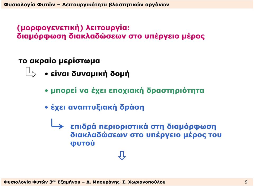 έχει αναπτυξιακή δράση επιδρά περιοριστικά στη διαµόρφωση διακλαδώσεων στο