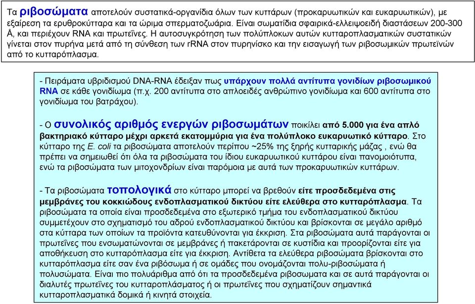 H αυτοσυγκρότηση των πολύπλοκων αυτών κυτταροπλασματικών συστατικών γίνεται στον πυρήνα μετά από τη σύνθεση των rrnα στον πυρηνίσκο και την εισαγωγή των ριβοσωμικών πρωτεϊνών απότοκυτταρόπλασμα.