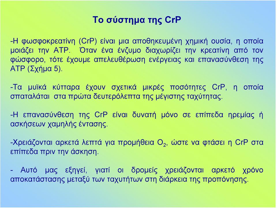 -Τα μυϊκά κύτταρα έχουν σχετικά μικρές ποσότητες CrP, η οποία σπαταλάται στα πρώτα δευτερόλεπτα της μέγιστης ταχύτητας.