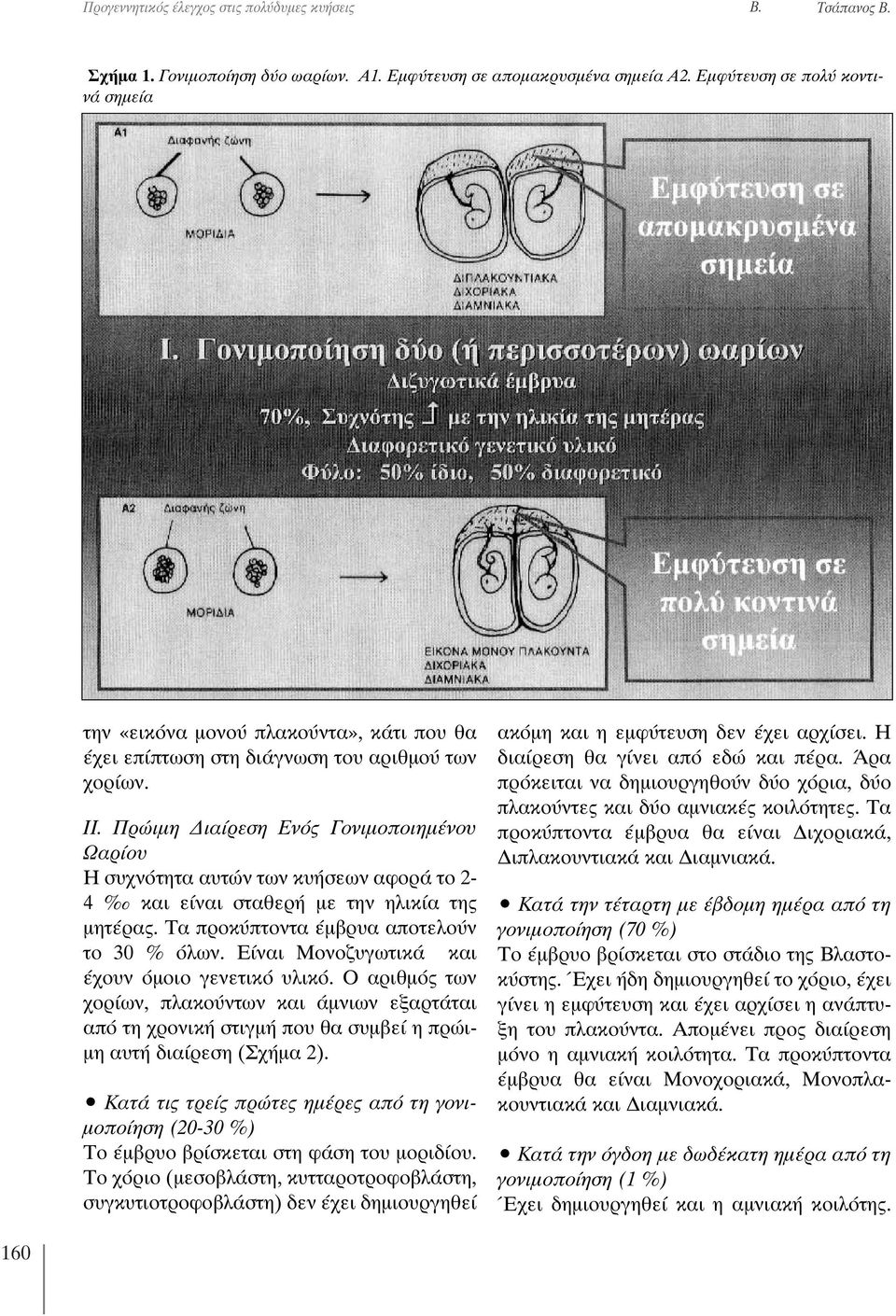 Πρώιμη Διαίρεση Ενός Γονιμοποιημένου Ωαρίου Η συχνότητα αυτών των κυήσεων αφορά το 2-4 και είναι σταθερή με την ηλικία της μητέρας. Τα προκύπτοντα έμβρυα αποτελούν το 30 % όλων.