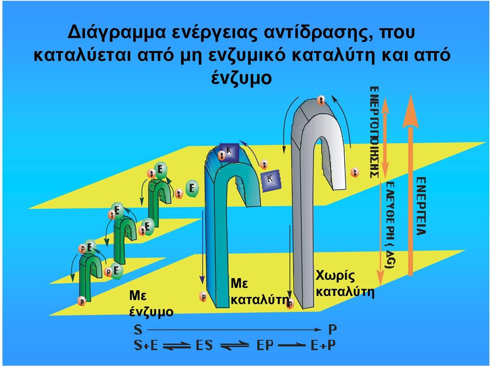 καταλύτη και από έvζυµo Με