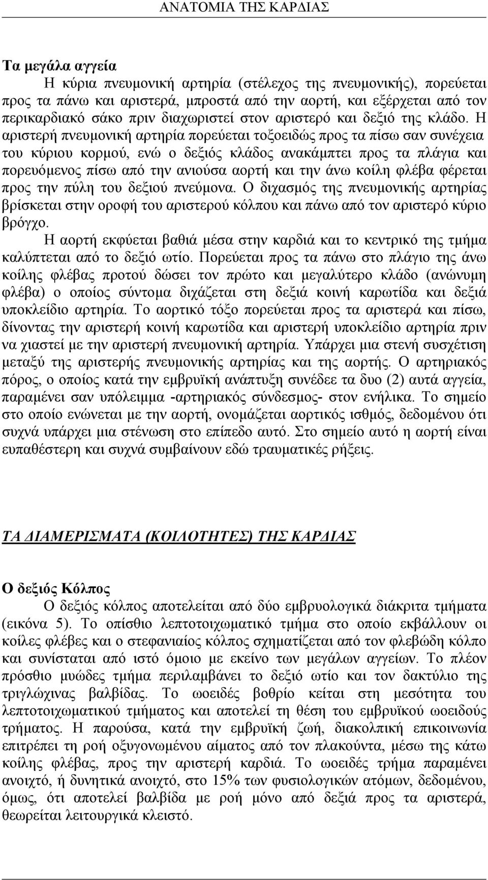 Η αριστερή πνευµονική αρτηρία πορεύεται τοξοειδώς προς τα πίσω σαν συνέχεια του κύριου κορµού, ενώ ο δεξιός κλάδος ανακάµπτει προς τα πλάγια και πορευόµενος πίσω από την ανιούσα αορτή και την άνω