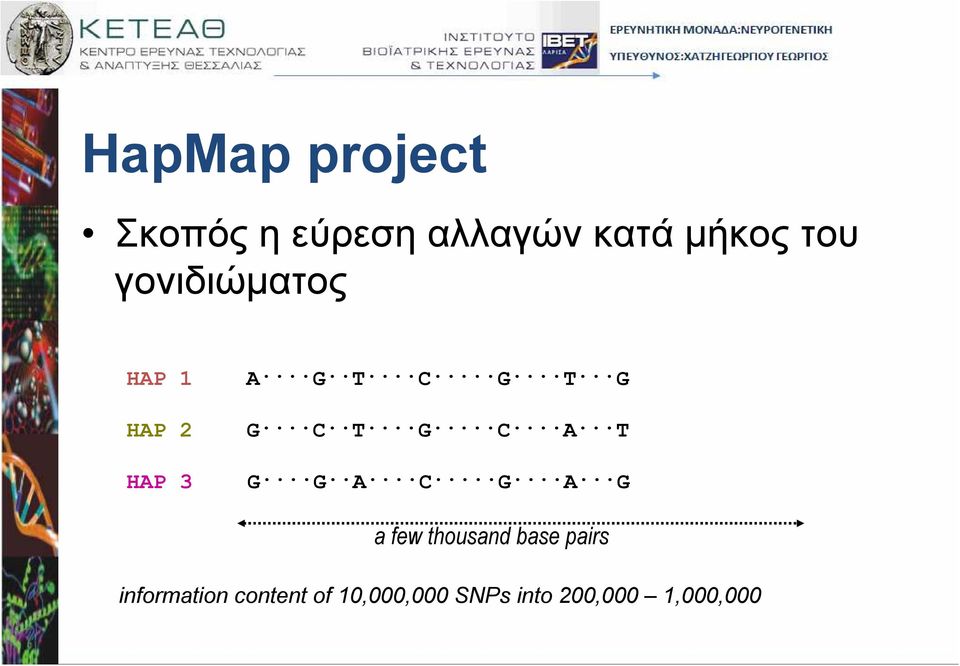 C A T G G A C G A G a few thousand base pairs