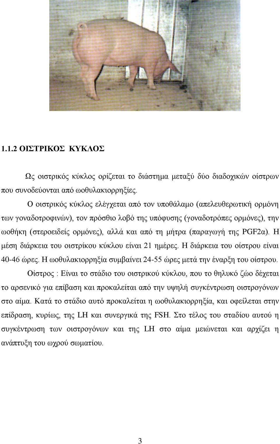 κήηξα (παξαγσγή ηεο PGF2α). Ζ κέζε δηάξθεηα ηνπ νηζηξίθνπ θχθινπ είλαη 21 εκέξεο. Ζ δηάξθεηα ηνπ νίζηξνπ είλαη 40-46 ψξεο. Ζ σνζπιαθηνξξεμία ζπκβαίλεη 24-55 ψξεο κεηά ηελ έλαξμε ηνπ νίζηξνπ.