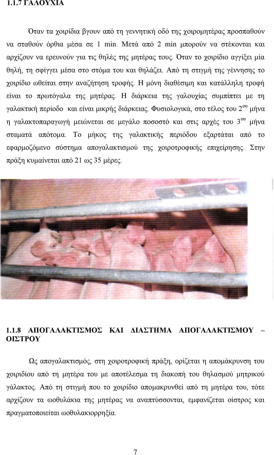 Απφ ηε ζηηγκή ηεο γέλλεζεο ην ρνηξίδην σζείηαη ζηελ αλαδήηεζε ηξνθήο. Ζ κφλε δηαζέζηκε θαη θαηάιιειε ηξνθή είλαη ην πξσηφγαια ηεο κεηέξαο.