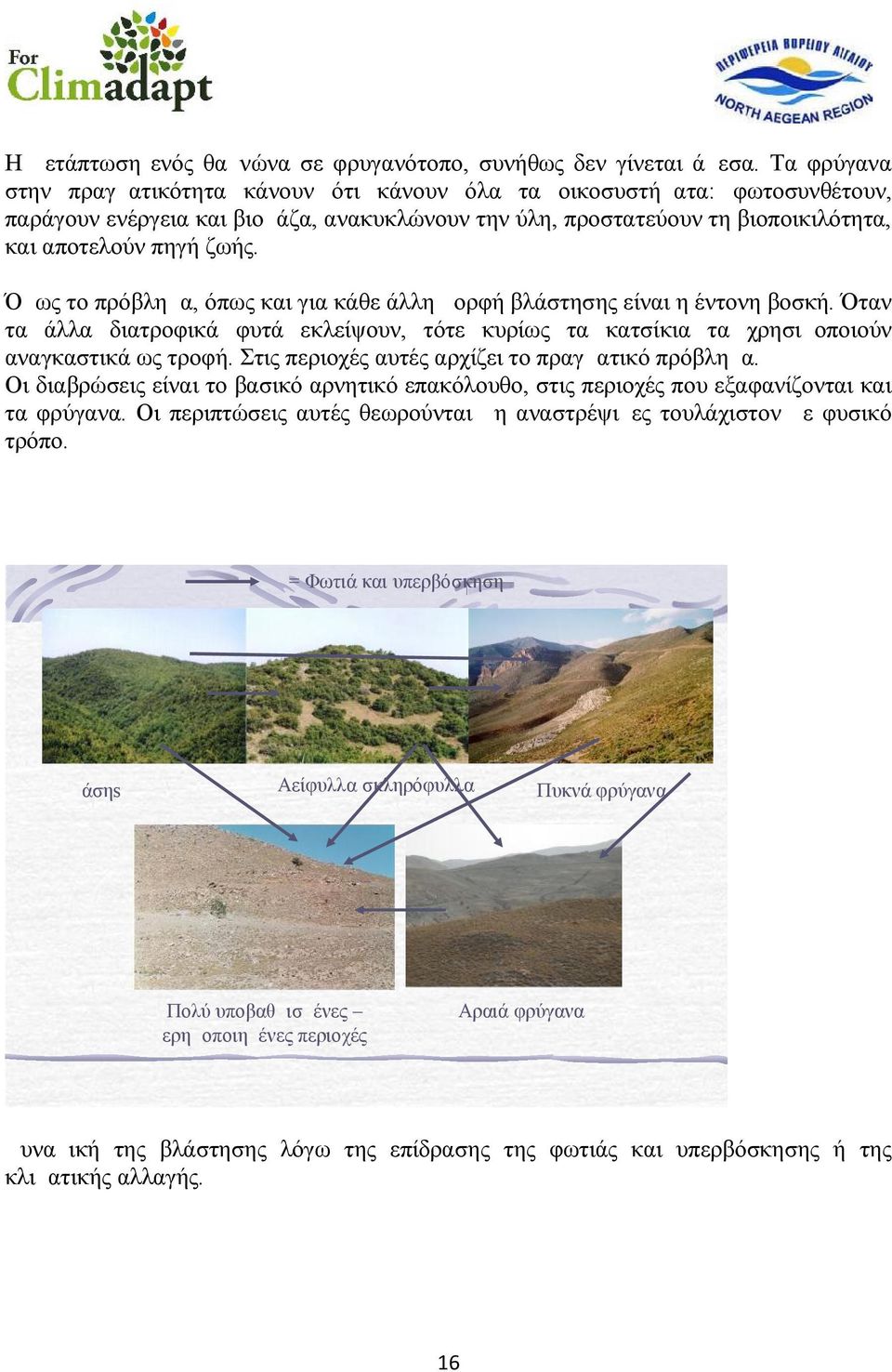 Όμως το πρόβλημα, όπως και για κάθε άλλη μορφή βλάστησης είναι η έντονη βοσκή. Όταν τα άλλα διατροφικά φυτά εκλείψουν, τότε κυρίως τα κατσίκια τα χρησιμοποιούν αναγκαστικά ως τροφή.