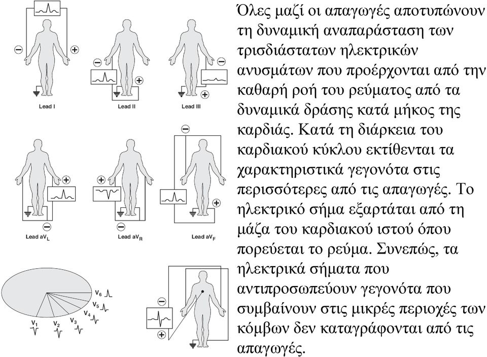 Κατά τη διάρκεια του καρδιακού κύκλου εκτίθενται τα χαρακτηριστικά γεγονότα στις περισσότερες από τις απαγωγές.