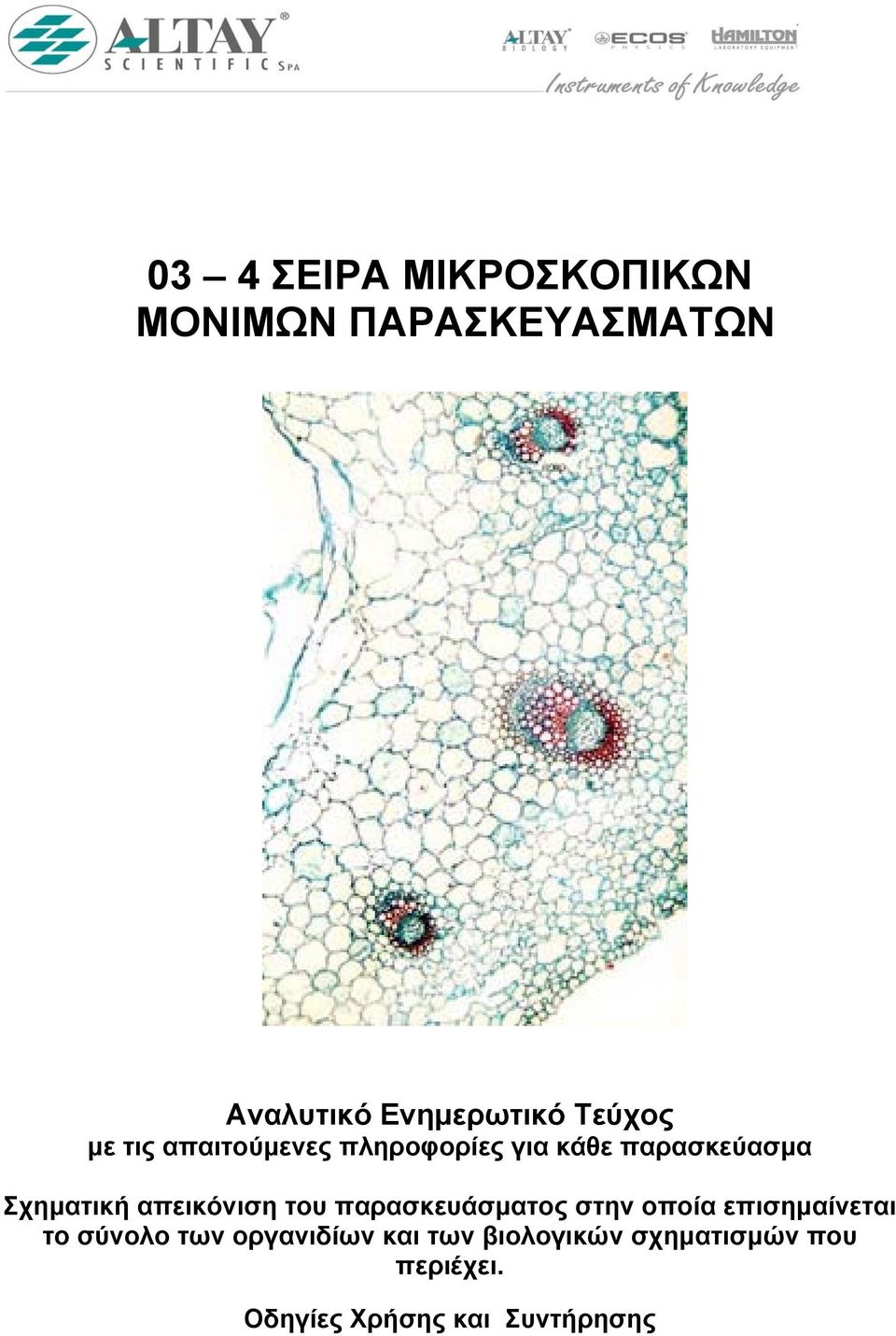 απεικόνιση του παρασκευάσματος στην οποία επισημαίνεται το σύνολο των