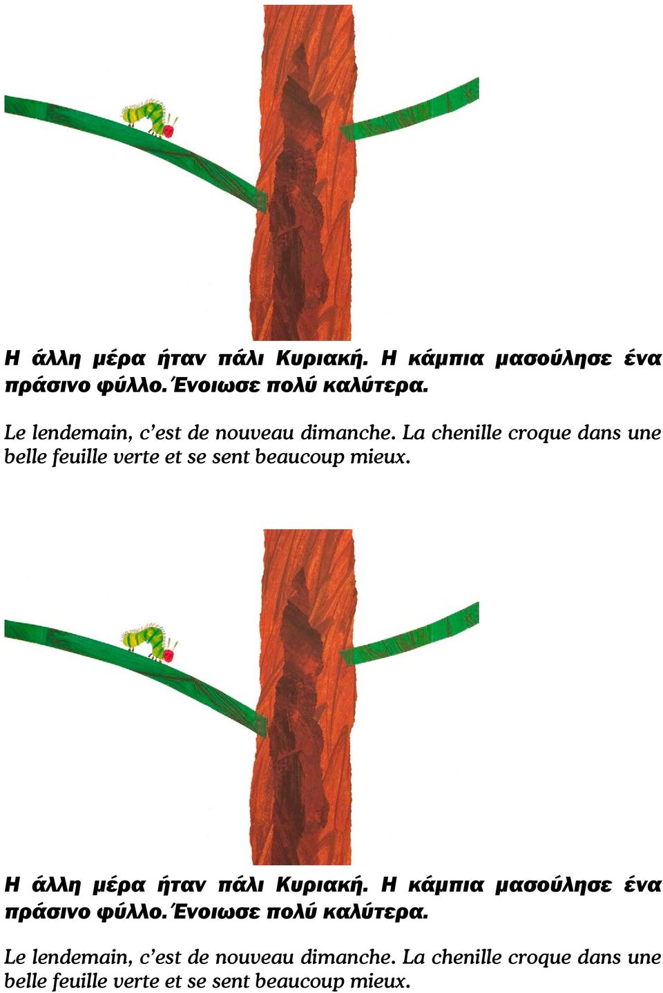 La chenille croque dans une belle feuille verte et se sent beaucoup mieux.