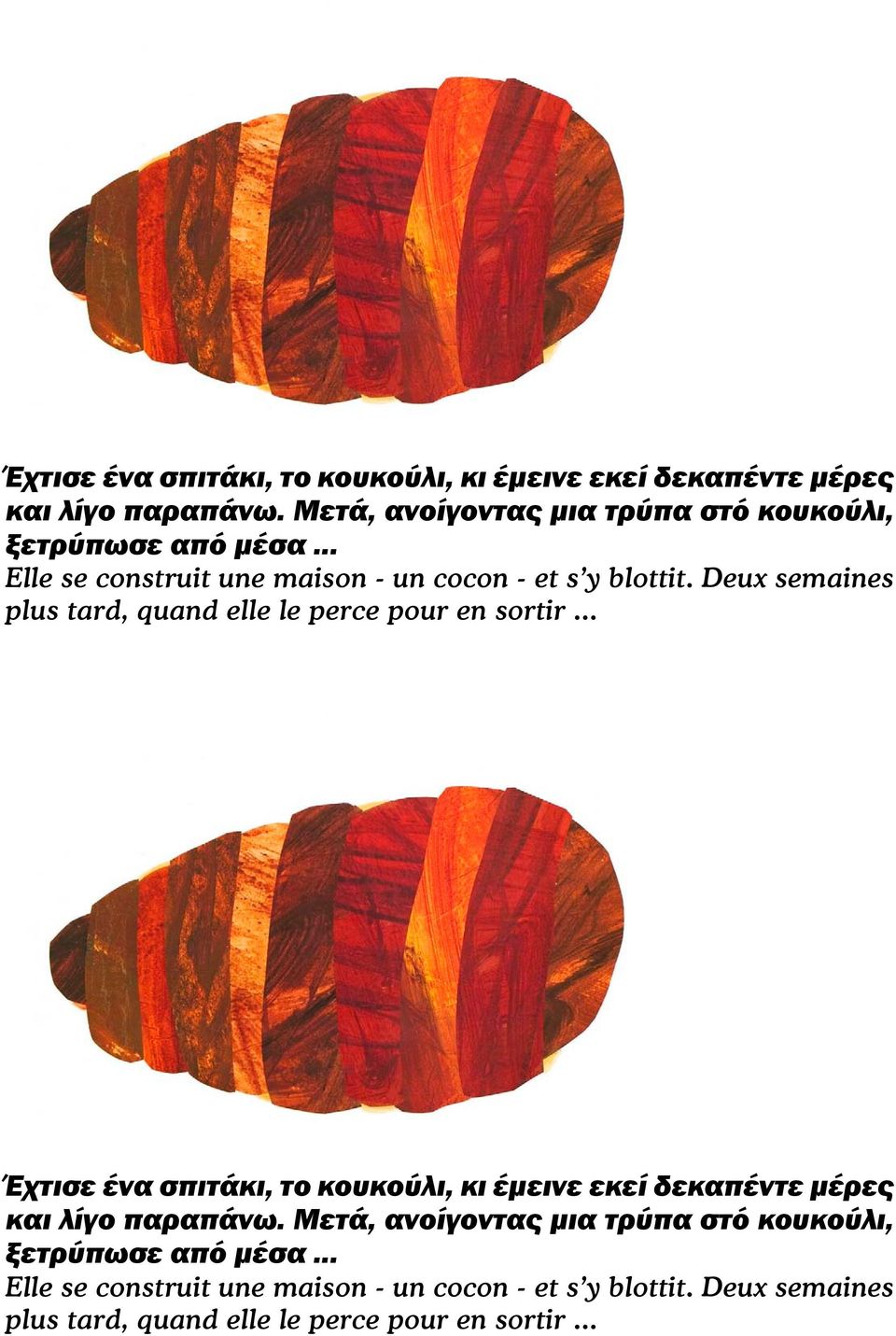 Deux semaines plus tard, quand elle le perce pour en sortir...   Deux semaines plus tard, quand elle le perce pour en sortir...