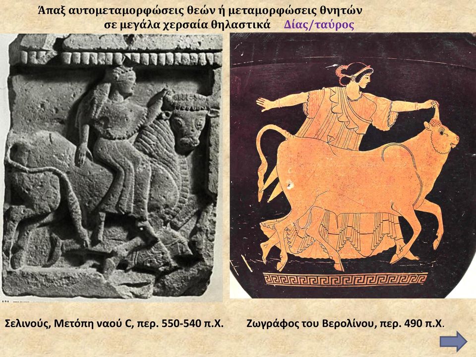 θηλαςτικά Δίασ/ταύροσ Σελινοφσ, Μετόπθ