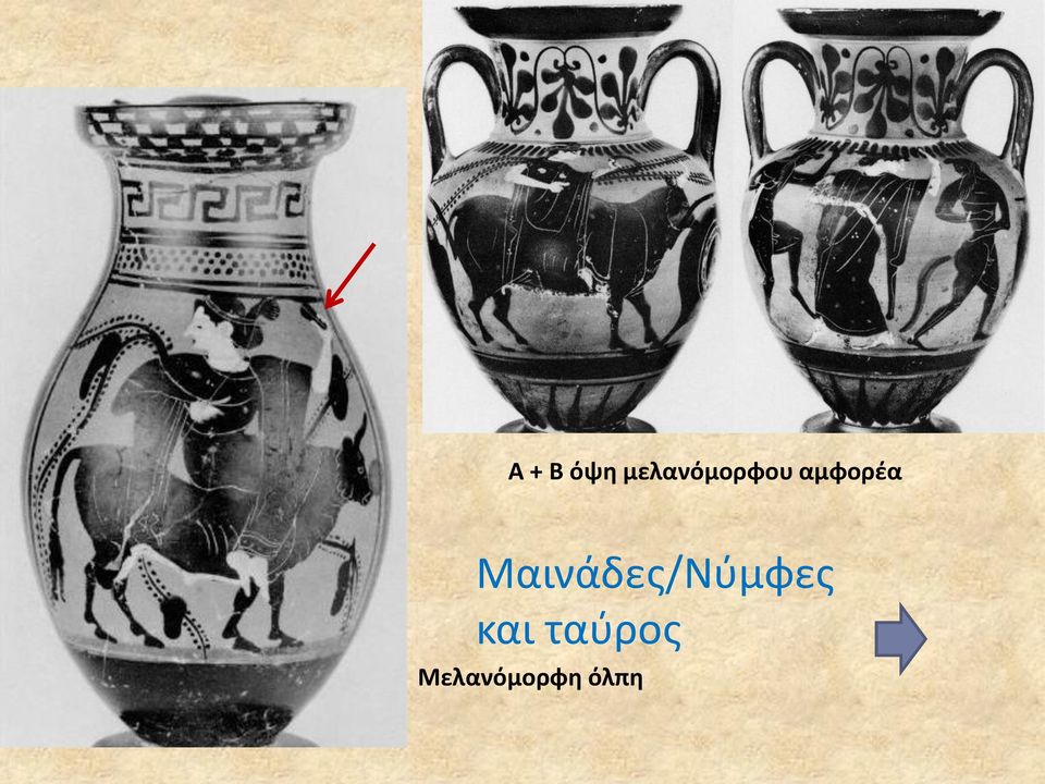 αμφορζα