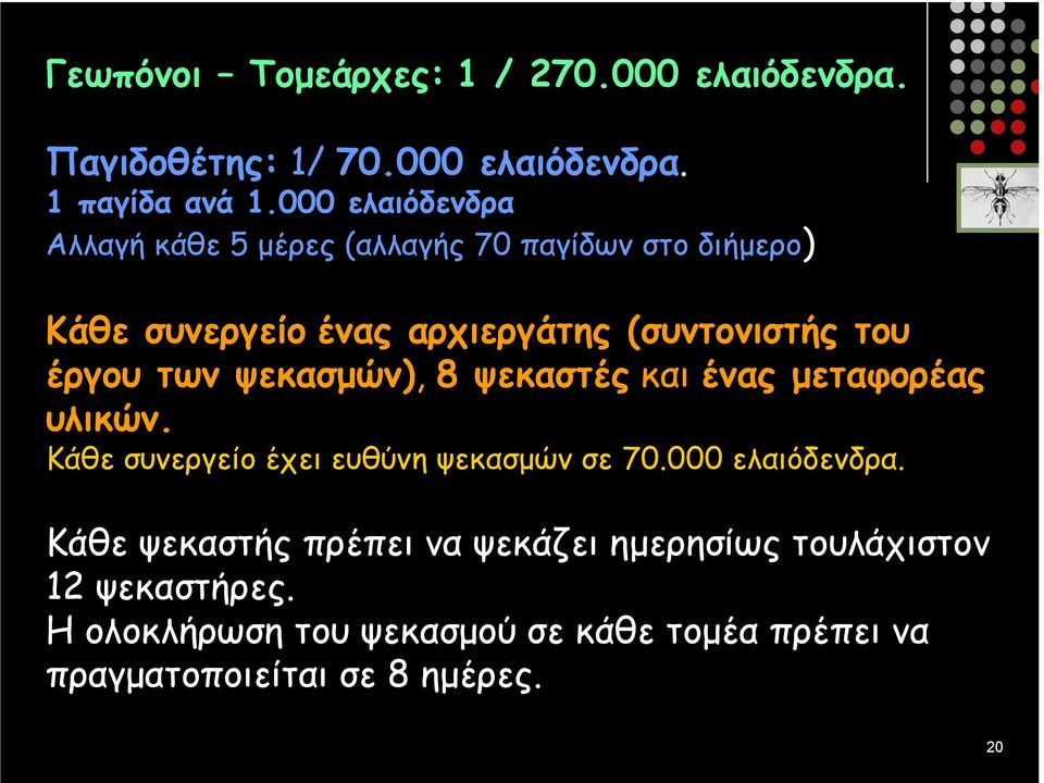 έργου των ψεκασµών), 8 ψεκαστές και ένας µεταφορέας υλικών. Κάθε συνεργείο έχει ευθύνη ψεκασµών σε 70.000 ελαιόδενδρα.