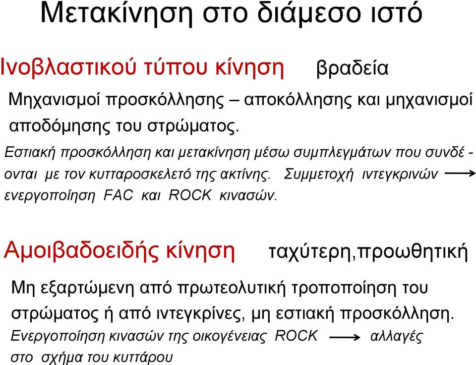 Συµµετοχή ιντεγκρινών ενεργοποίηση FAC και ROCK κινασών.