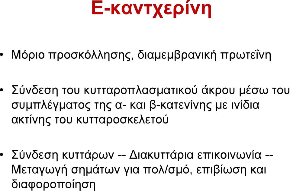 µε ινίδια ακτίνης του κυτταροσκελετού Σύνδεση κυττάρων -- ιακυττάρια