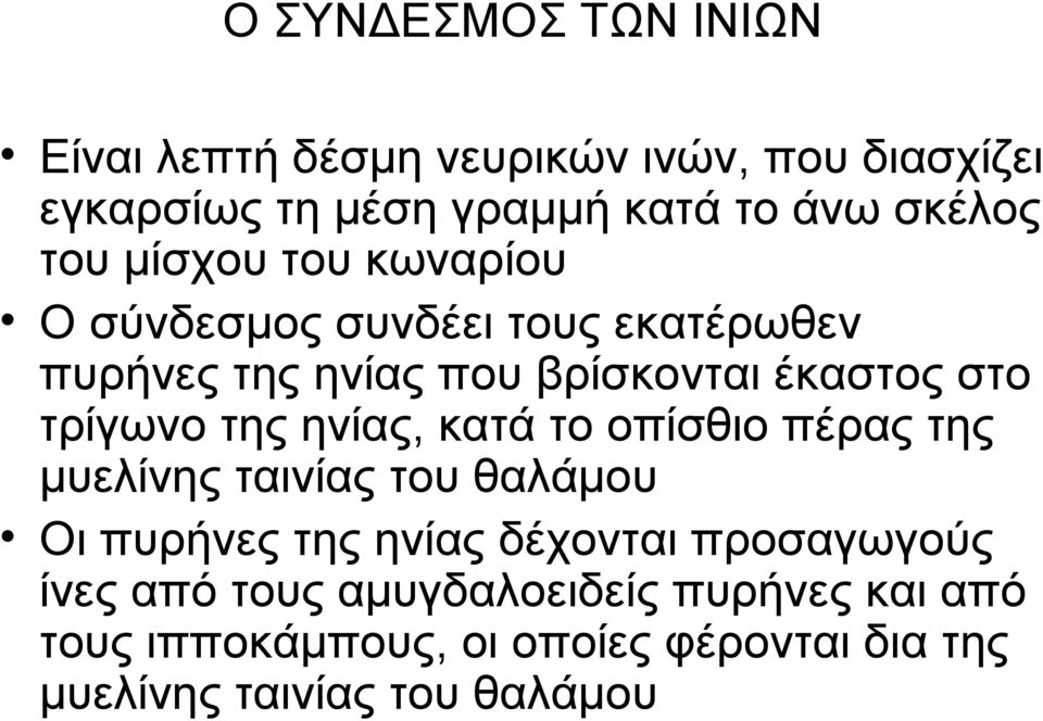 της ηνίας, κατά το οπίσθιο πέρας της μυελίνης ταινίας του θαλάμου Οι πυρήνες της ηνίας δέχονται προσαγωγούς ίνες