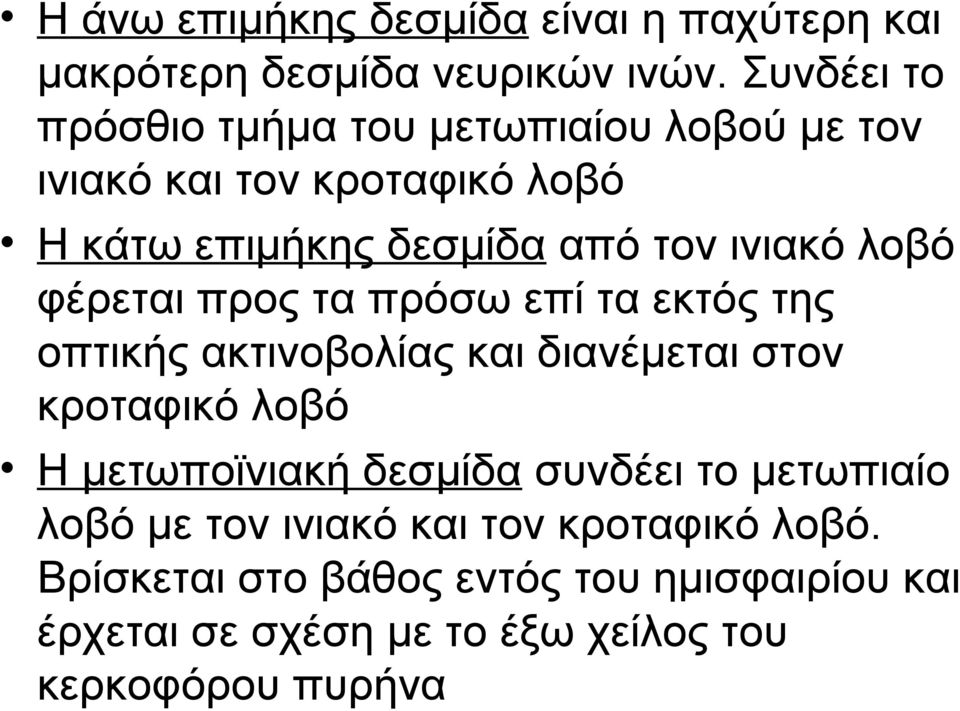 λοβό φέρεται προς τα πρόσω επί τα εκτός της οπτικής ακτινοβολίας και διανέμεται στον κροταφικό λοβό Η μετωποϊνιακή