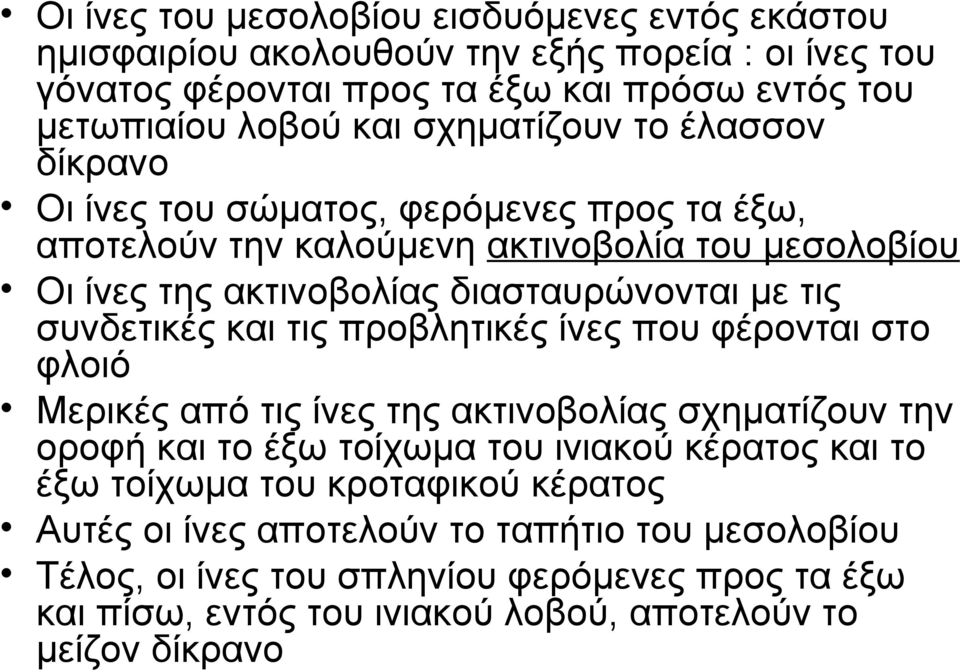 συνδετικές και τις προβλητικές ίνες που φέρονται στο φλοιό Μερικές από τις ίνες της ακτινοβολίας σχηματίζουν την οροφή και το έξω τοίχωμα του ινιακού κέρατος και το έξω τοίχωμα