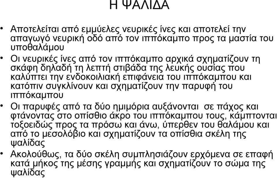 ιππόκαμπου Οι παρυφές από τα δύο ημιμόρια αυξάνονται σε πάχος και φτάνοντας στο οπίσθιο άκρο του ιππόκαμπου τους, κάμπτονται τοξοειδώς προς τα πρόσω και άνω, ύπερθεν του θαλάμου